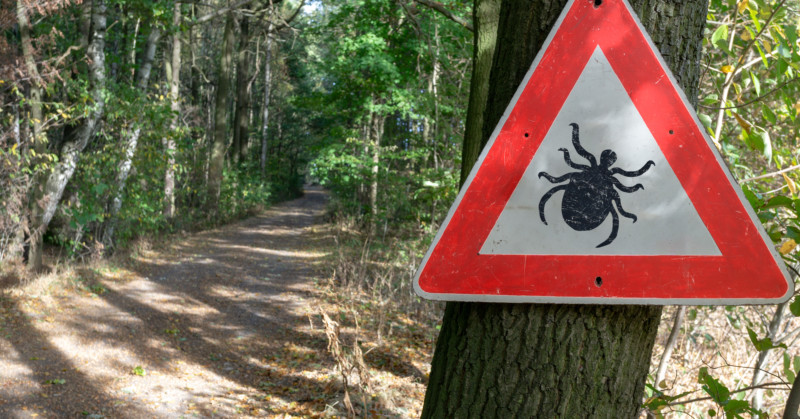 What I’ve learned reporting about Lyme disease, a contested illness ...